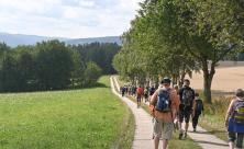 Den Weg bewusst gehen: Die Pilgergruppe des Projekts »Samstagspilgern« auf ihrer Etappe zwischen Annaberg und Bärenstein. Diese liegt auch auf dem Jakobsweg (siehe Wegweiser). © C. Bergmann