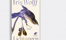Iris Wolff: Lichtungen. Roman. Verlag Klett-Cotta 2024. 255 S., 24 €