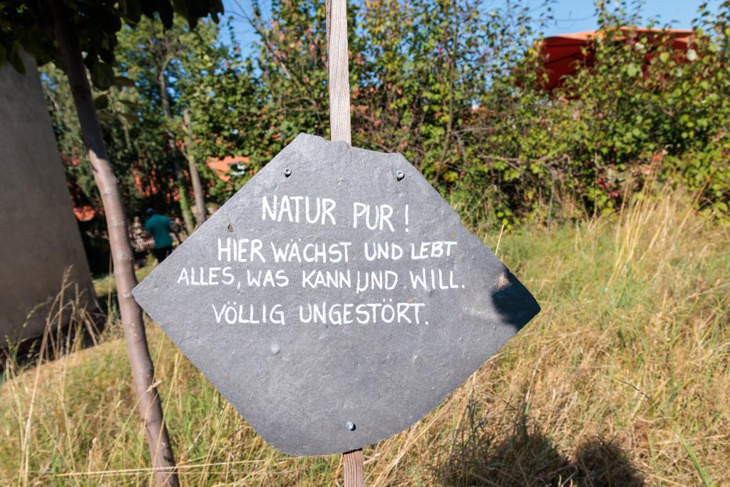 Hier ist ein inklusiver Nachbarschaftsgarten entstanden. © Uwe Winkler