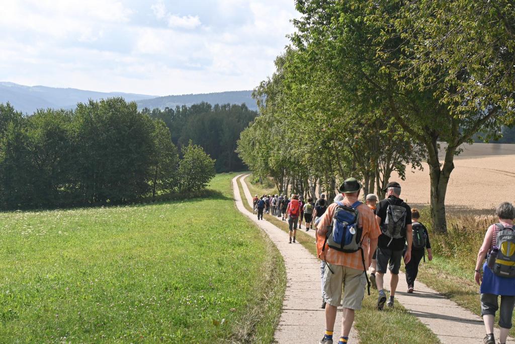 Den Weg bewusst gehen: Die Pilgergruppe des Projekts »Samstagspilgern« auf ihrer Etappe zwischen Annaberg und Bärenstein. Diese liegt auch auf dem Jakobsweg (siehe Wegweiser). © C. Bergmann