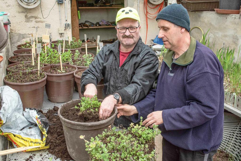 Der taubblinde Andreas Herold (r.) und Gartenleiter Marcel Soblik. © Dietrich Flechtner 