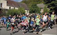 144 Läufer waren beim Lauf um den Collm dabei – das Foto zeigt den Start. © Eric Zabell